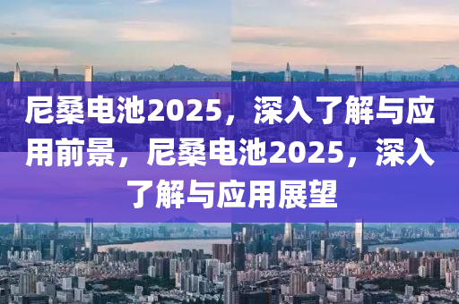 尼桑電池2025，深入了解與應(yīng)用前景，尼桑電池2025，深入了解與應(yīng)用展望