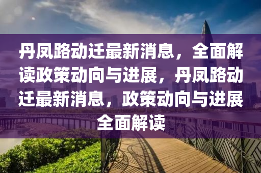 丹鳳路動(dòng)遷最新消息，全面解讀政策動(dòng)向與進(jìn)展，丹鳳路動(dòng)遷最新消息，政策動(dòng)向與進(jìn)展全面解讀