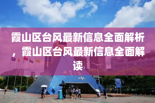 霞山區(qū)臺風(fēng)最新信息全面解析，霞山區(qū)臺風(fēng)最新信息全面解讀