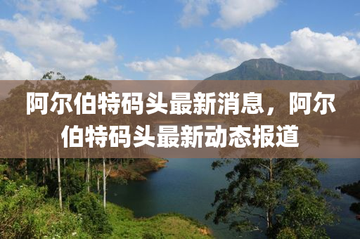 阿爾伯特碼頭最新消息，阿爾伯特碼頭最新動態(tài)報道