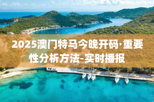 2025澳門特馬今晚開碼·重要性分析方法-實時播報