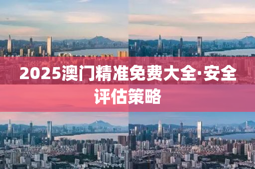 2025澳門精準免費大全·安全評估策略
