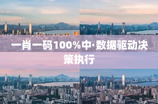 一肖一碼100%中·數(shù)據(jù)驅(qū)動(dòng)決策執(zhí)行