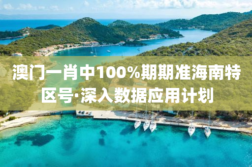 澳門(mén)一肖中100%期期準(zhǔn)海南特區(qū)號(hào)·深入數(shù)據(jù)應(yīng)用計(jì)劃
