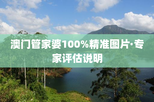 澳門管家婆100%精準(zhǔn)圖片·專家評(píng)估說明