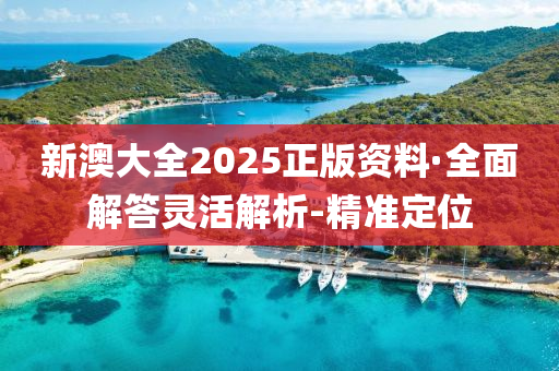 新澳大全2025正版資料·全面解答靈活解析-精準(zhǔn)定位