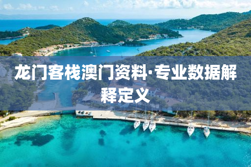 龍門客棧澳門資料·專業(yè)數(shù)據(jù)解釋定義