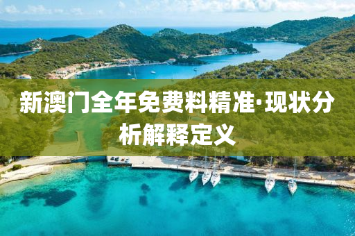 新澳門(mén)全年免費(fèi)料精準(zhǔn)·現(xiàn)狀分析解釋定義