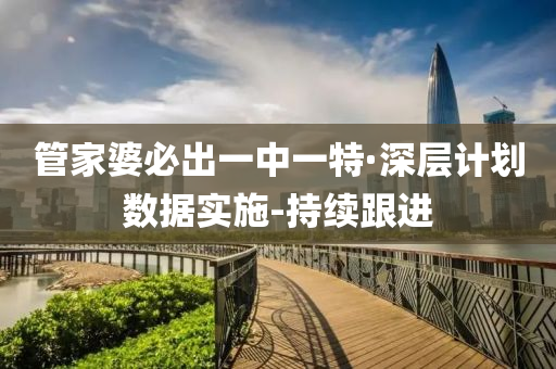 管家婆必出一中一特·深層計劃數(shù)據(jù)實施-持續(xù)跟進