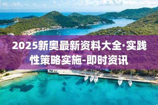 2025新奧最新資料大全·實踐性策略實施-即時資訊