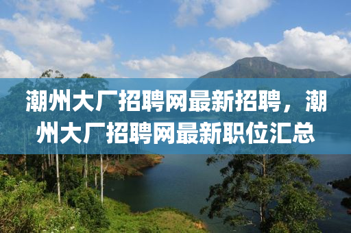 潮州大廠招聘網(wǎng)最新招聘，潮州大廠招聘網(wǎng)最新職位匯總