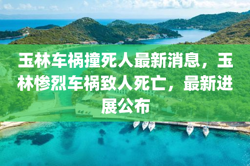 玉林車禍撞死人最新消息，玉林慘烈車禍致人死亡，最新進展公布