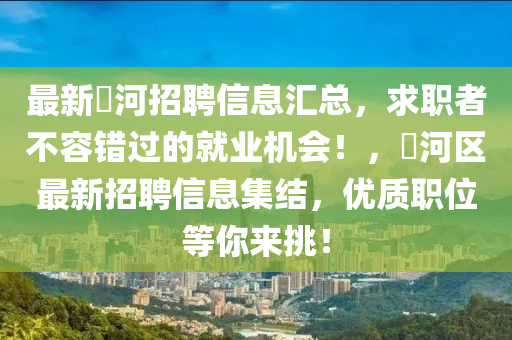最新瀍河招聘信息匯總，求職者不容錯過的就業(yè)機會！，瀍河區(qū)最新招聘信息集結(jié)，優(yōu)質(zhì)職位等你來挑！