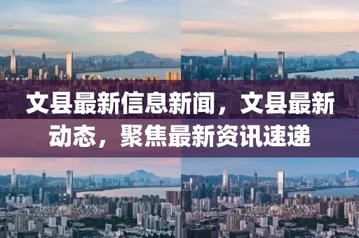 文縣最新信息新聞，文縣最新動(dòng)態(tài)，聚焦最新資訊速遞