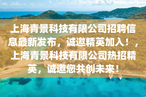 上海青景科技有限公司招聘信息最新發(fā)布，誠邀精英加入！，上海青景科技有限公司熱招精英，誠邀您共創(chuàng)未來！