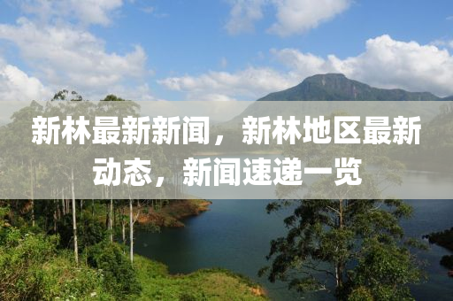 新林最新新聞，新林地區(qū)最新動(dòng)態(tài)，新聞速遞一覽