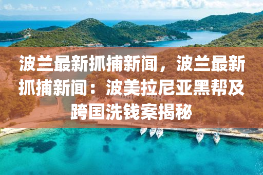 波蘭最新抓捕新聞，波蘭最新抓捕新聞：波美拉尼亞黑幫及跨國洗錢案揭秘