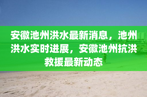 安徽池州洪水最新消息，池州洪水實時進展，安徽池州抗洪救援最新動態(tài)