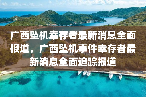 廣西墜機(jī)幸存者最新消息全面報(bào)道，廣西墜機(jī)事件幸存者最新消息全面追蹤報(bào)道