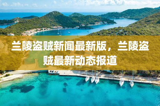 蘭陵盜賊新聞最新版，蘭陵盜賊最新動態(tài)報道