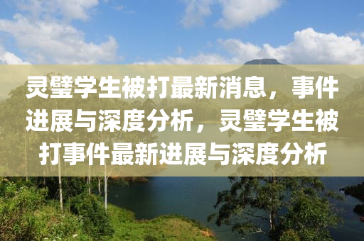 靈璧學(xué)生被打最新消息，事件進(jìn)展與深度分析，靈璧學(xué)生被打事件最新進(jìn)展與深度分析
