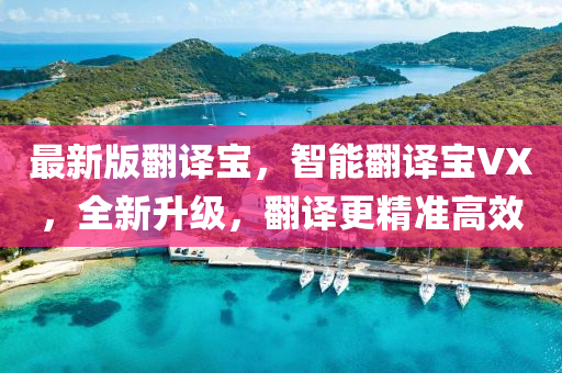 最新版翻譯寶，智能翻譯寶VX，全新升級(jí)，翻譯更精準(zhǔn)高效