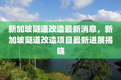 新加坡隧道改造最新消息，新加坡隧道改造項目最新進展揭曉
