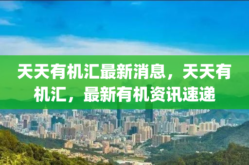 2025年2月20日 第91頁