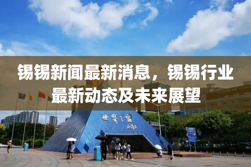 錫錫新聞最新消息，錫錫行業(yè)最新動態(tài)及未來展望