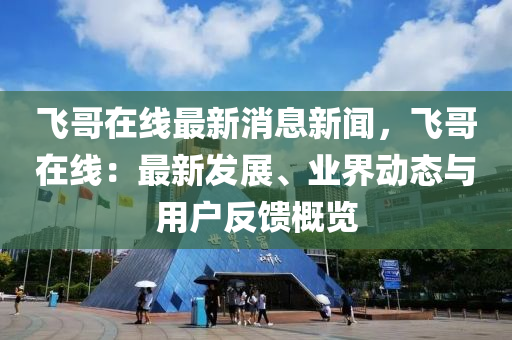 飛哥在線最新消息新聞，飛哥在線：最新發(fā)展、業(yè)界動態(tài)與用戶反饋概覽