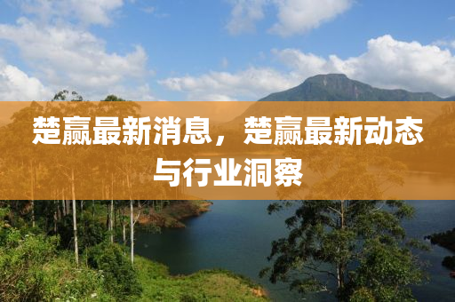 楚贏最新消息，楚贏最新動態(tài)與行業(yè)洞察