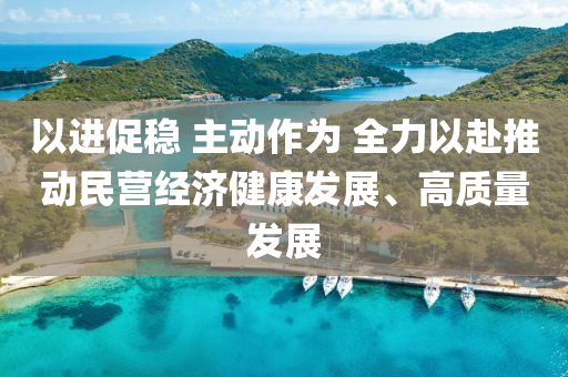 以進促穩(wěn) 主動作為 全力以赴推動民營經(jīng)濟健康發(fā)展、高質(zhì)量發(fā)展