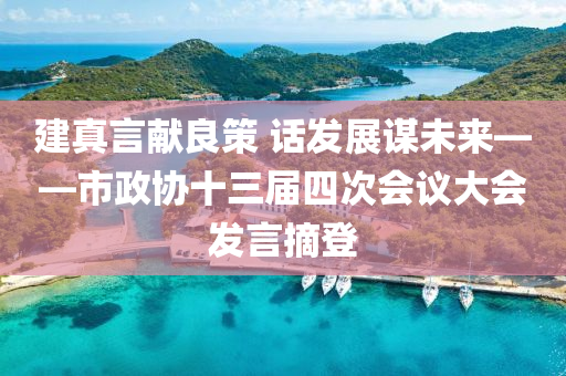 建真言獻良策 話發(fā)展謀未來——市政協(xié)十三屆四次會議大會發(fā)言摘登