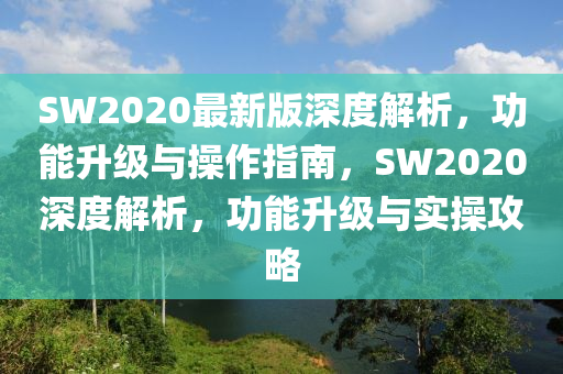 SW2020最新版深度解析，功能升級與操作指南，SW2020深度解析，功能升級與實操攻略