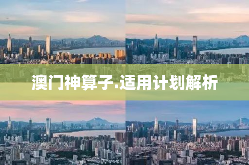 澳門神算子.適用計劃解析