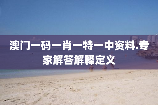 澳門一碼一肖一特一中資料.專家解答解釋定義