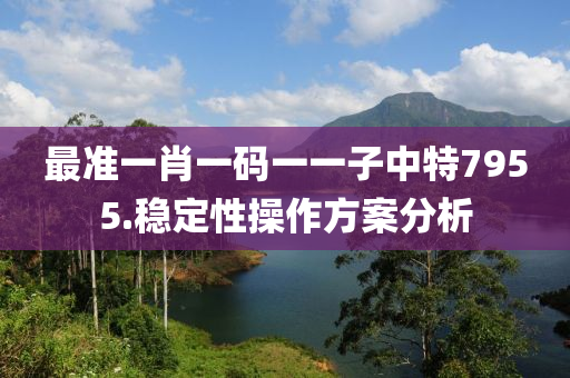 最準(zhǔn)一肖一碼一一子中特7955.穩(wěn)定性操作方案分析