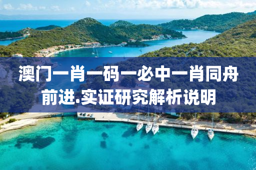 澳門一肖一碼一必中一肖同舟前進.實證研究解析說明