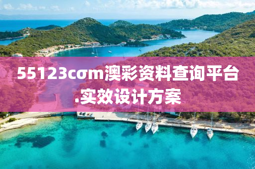 55123cσm澳彩資料查詢平臺.實效設計方案