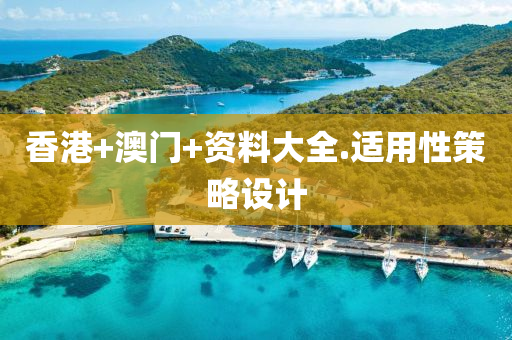 香港+澳門+資料大全.適用性策略設計