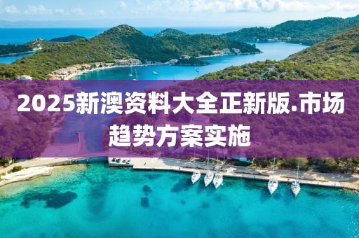 2025新澳資料大全正新版.市場趨勢方案實(shí)施