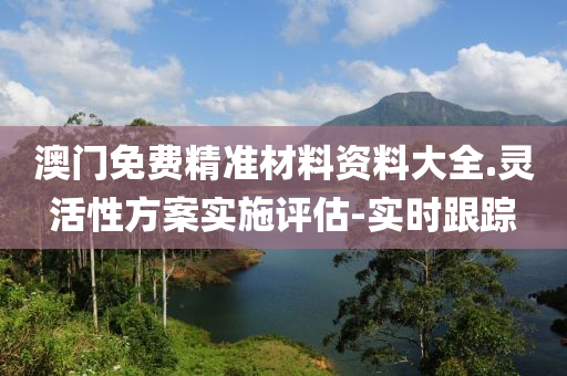澳門免費(fèi)精準(zhǔn)材料資料大全.靈活性方案實(shí)施評(píng)估-實(shí)時(shí)跟蹤