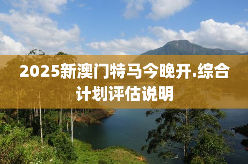 2025新澳門特馬今晚開.綜合計劃評估說明