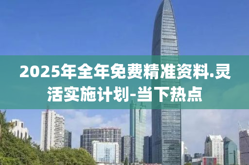 2025年全年免費精準資料.靈活實施計劃-當下熱點