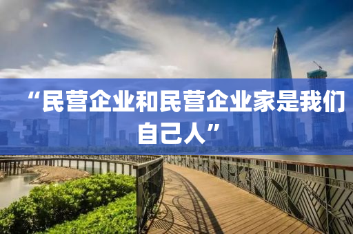 “民營企業(yè)和民營企業(yè)家是我們自己人”