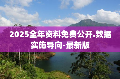 2025全年資料免費(fèi)公開.數(shù)據(jù)實(shí)施導(dǎo)向-最新版