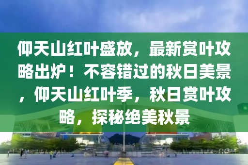 仰天山紅葉盛放，最新賞葉攻略出爐！不容錯過的秋日美景，仰天山紅葉季，秋日賞葉攻略，探秘絕美秋景