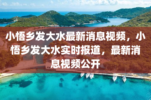 小悟鄉(xiāng)發(fā)大水最新消息視頻，小悟鄉(xiāng)發(fā)大水實時報道，最新消息視頻公開