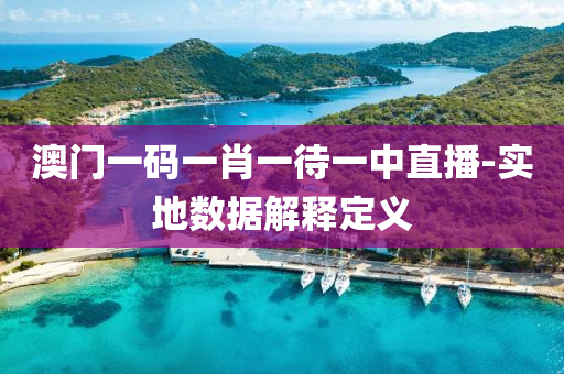 澳門一碼一肖一待一中直播-實(shí)地?cái)?shù)據(jù)解釋定義