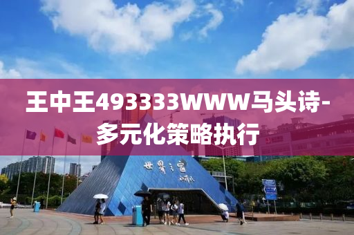 王中王493333WWW馬頭詩(shī)-多元化策略執(zhí)行